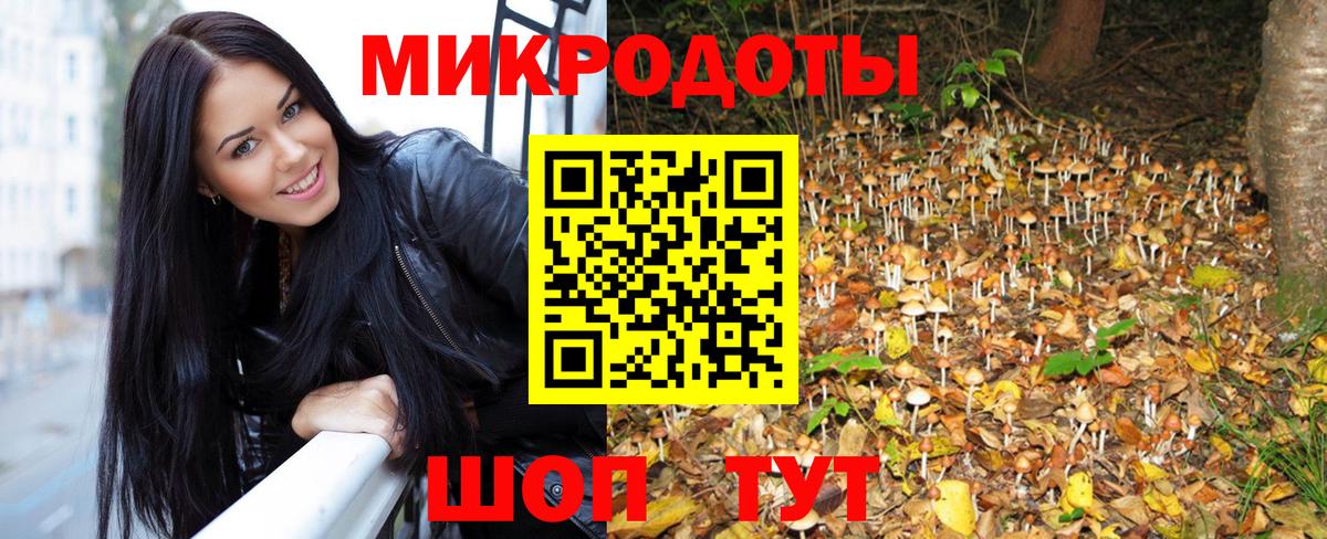 Галлюциногенные грибы Psilocybe Краснодар