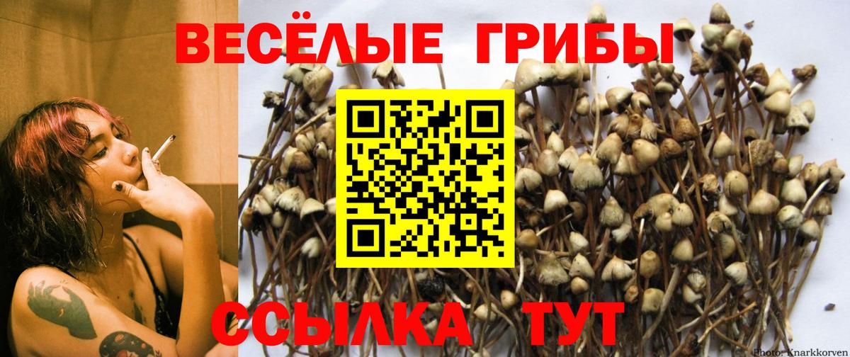 Псилоцибиновые грибы мицелий  Вход с VPN  Краснодар 